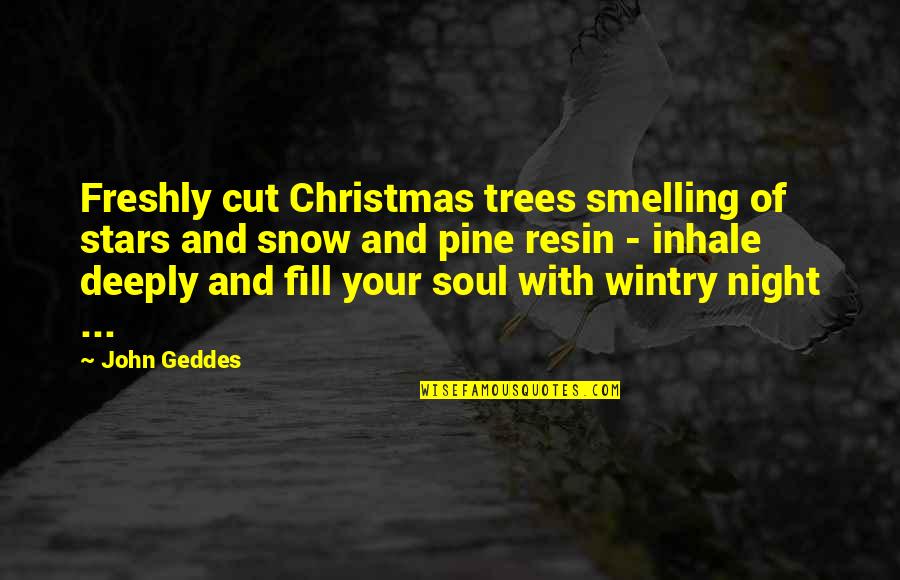 Tree With Snow Quotes By John Geddes: Freshly cut Christmas trees smelling of stars and