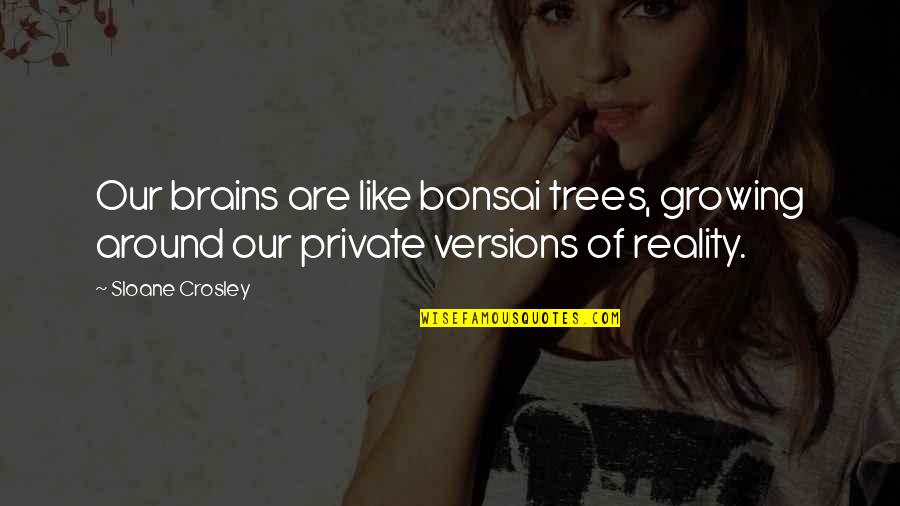 Trees And Growing Quotes By Sloane Crosley: Our brains are like bonsai trees, growing around