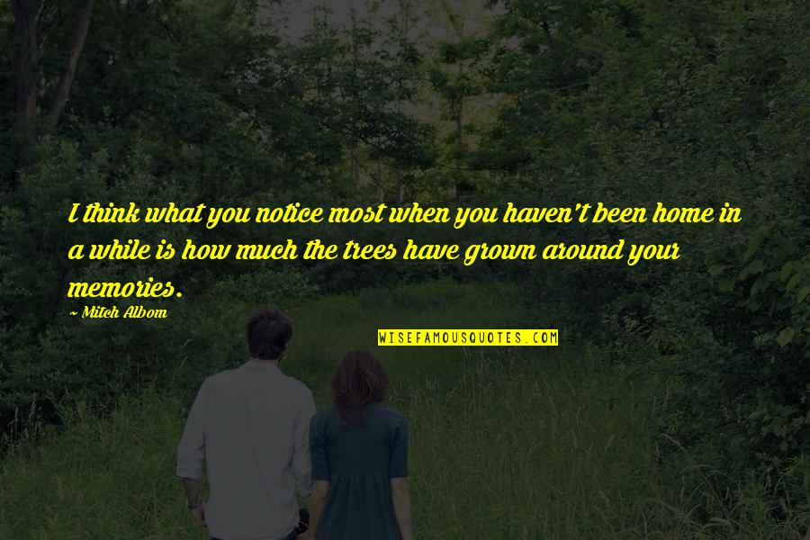 Trees And Home Quotes By Mitch Albom: I think what you notice most when you