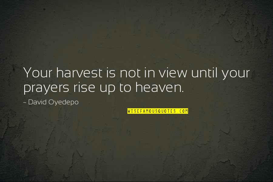 Trees And Learning Quotes By David Oyedepo: Your harvest is not in view until your