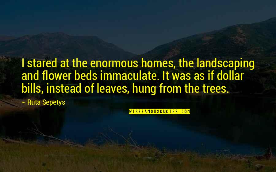 Trees And Leaves Quotes By Ruta Sepetys: I stared at the enormous homes, the landscaping