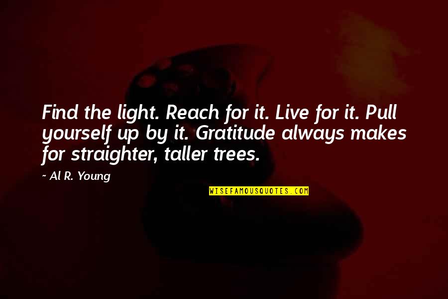 Trees And Light Quotes By Al R. Young: Find the light. Reach for it. Live for