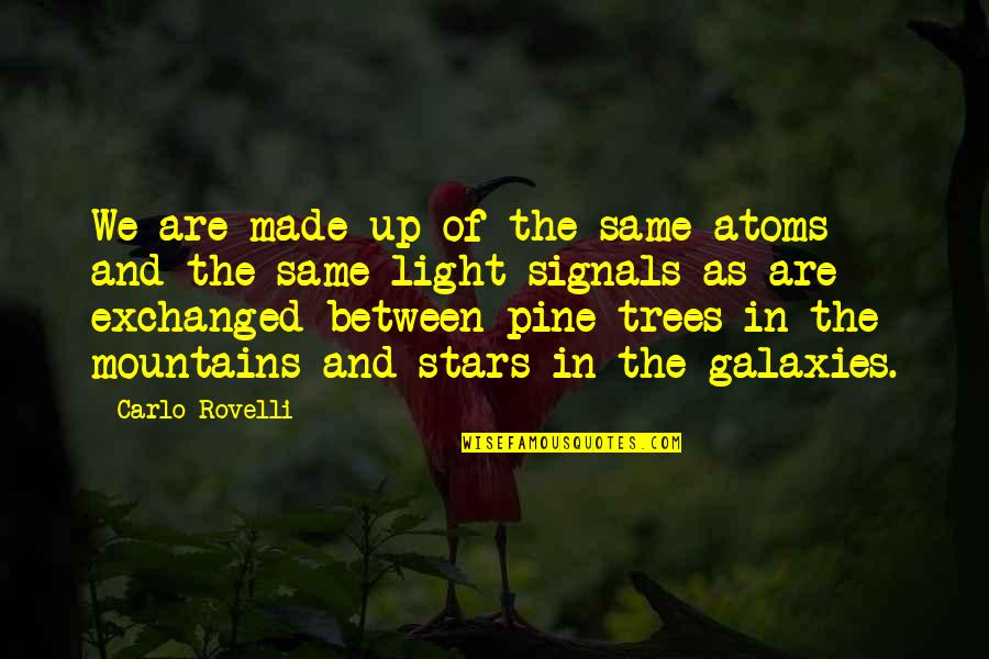 Trees And Light Quotes By Carlo Rovelli: We are made up of the same atoms