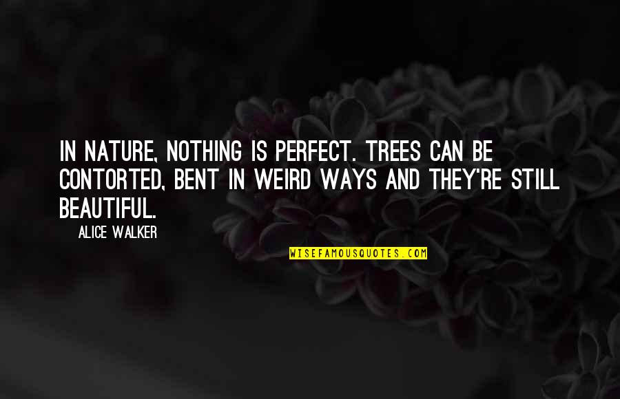Trees And Nature Quotes By Alice Walker: In nature, nothing is perfect. Trees can be