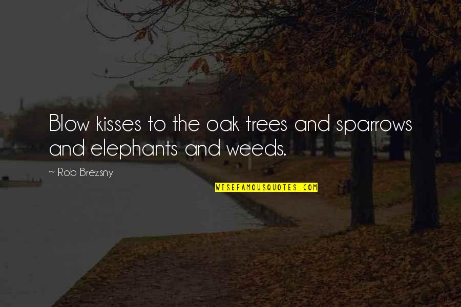 Trees And Nature Quotes By Rob Brezsny: Blow kisses to the oak trees and sparrows