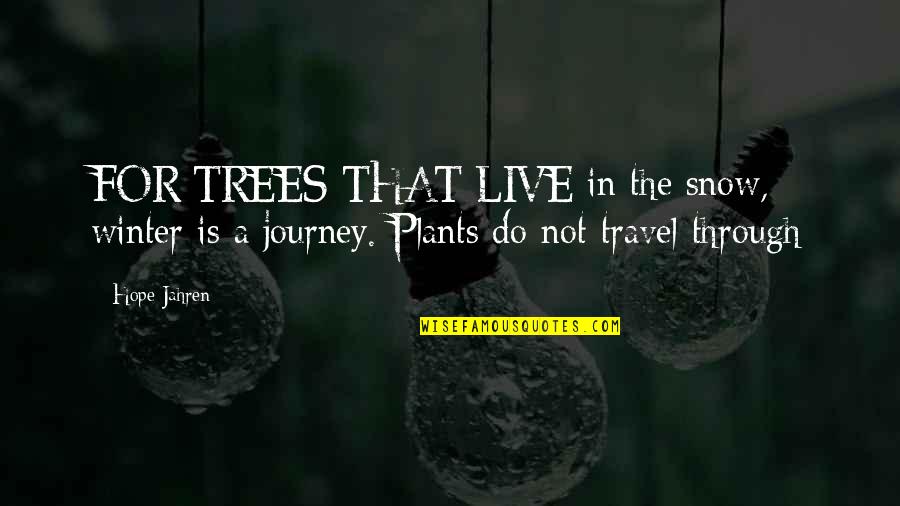 Trees And Plants Quotes By Hope Jahren: FOR TREES THAT LIVE in the snow, winter