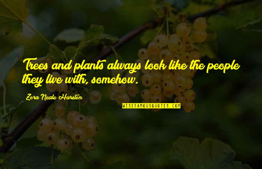 Trees And Plants Quotes By Zora Neale Hurston: Trees and plants always look like the people