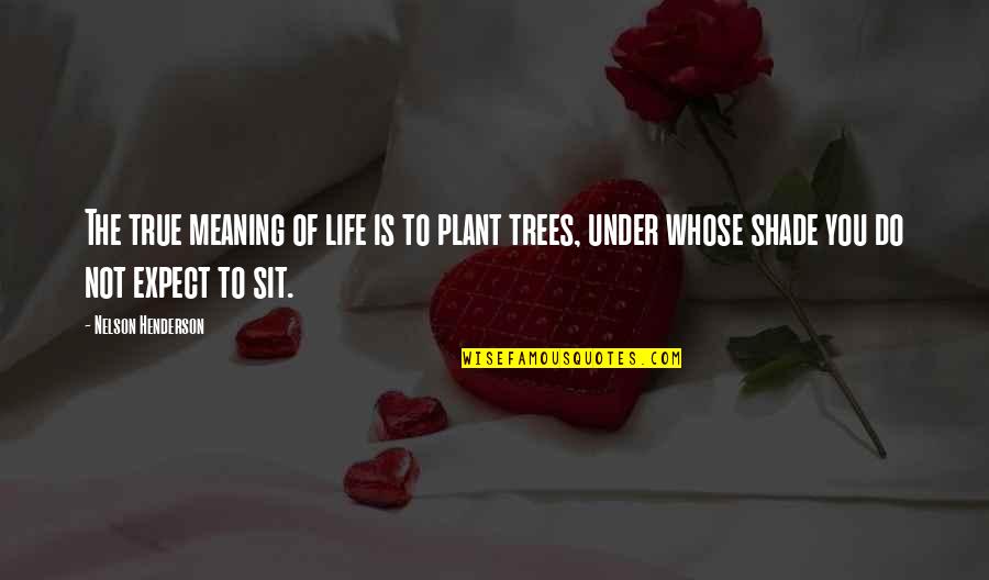Trees And Shade Quotes By Nelson Henderson: The true meaning of life is to plant Trees And Shade Quotes By Nelson Henderson: The true meaning of life is to plant