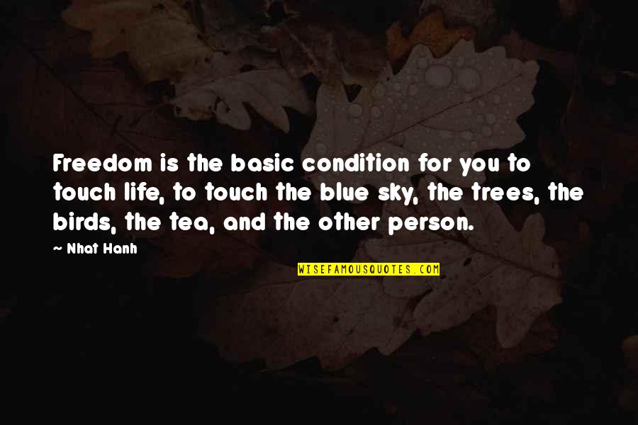 Trees And Sky Quotes By Nhat Hanh: Freedom is the basic condition for you to