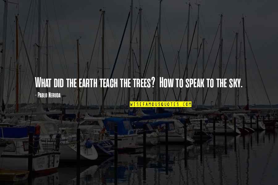 Trees And Sky Quotes By Pablo Neruda: What did the earth teach the trees? How