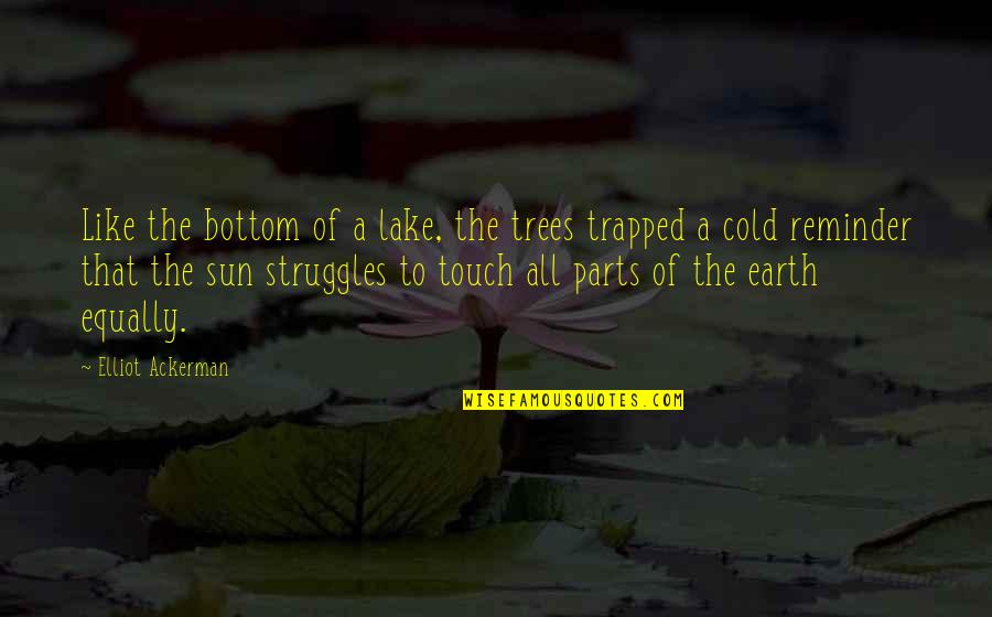 Trees And Sun Quotes By Elliot Ackerman: Like the bottom of a lake, the trees