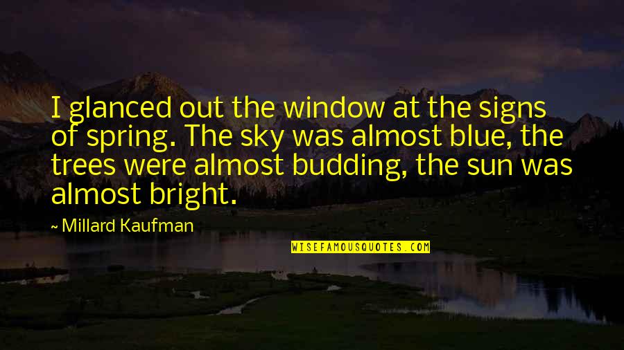 Trees And Sun Quotes By Millard Kaufman: I glanced out the window at the signs