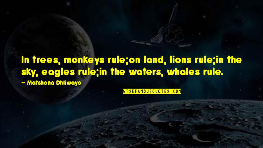 Trees And The Sky Quotes By Matshona Dhliwayo: In trees, monkeys rule;on land, lions rule;in the