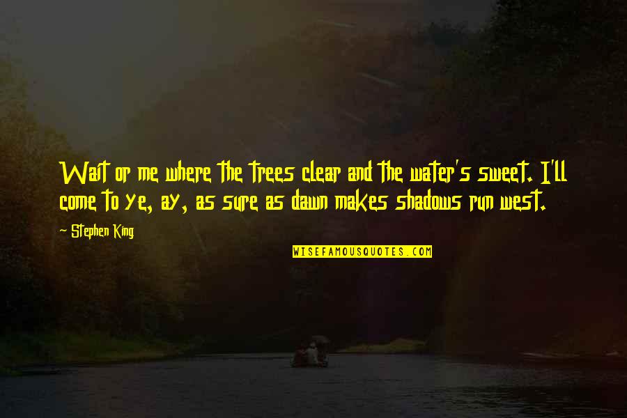 Trees And Water Quotes By Stephen King: Wait or me where the trees clear and