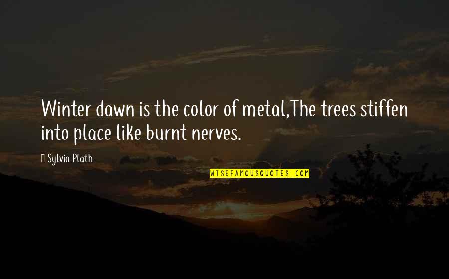 Trees And Winter Quotes By Sylvia Plath: Winter dawn is the color of metal,The trees