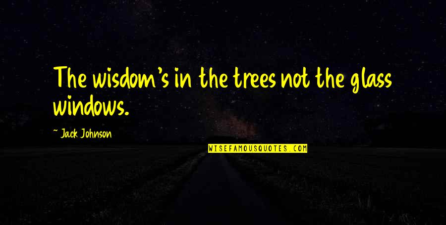 Trees And Wisdom Quotes By Jack Johnson: The wisdom's in the trees not the glass