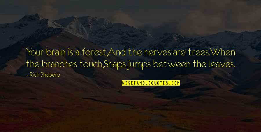 Trees Are Quotes By Rich Shapero: Your brain is a forest,And the nerves are