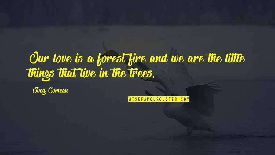 Trees Love Quotes By Joey Comeau: Our love is a forest fire and we