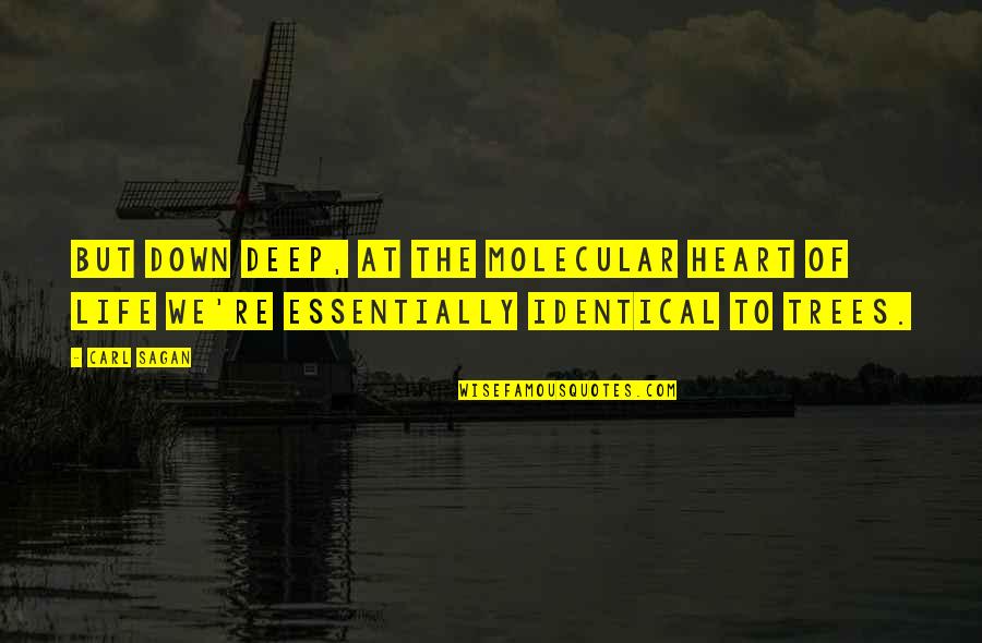 Trees Of Life Quotes By Carl Sagan: But down deep, at the molecular heart of