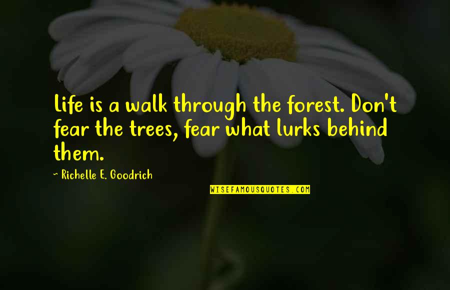 Trees Quotes And Quotes By Richelle E. Goodrich: Life is a walk through the forest. Don't
