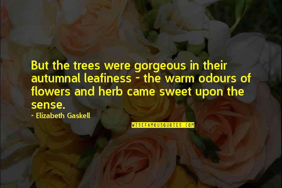 Trees With Flowers Quotes By Elizabeth Gaskell: But the trees were gorgeous in their autumnal