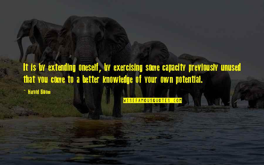 Treinamento Quotes By Harold Bloom: It is by extending oneself, by exercising some Treinamento Quotes By Harold Bloom: It is by extending oneself, by exercising some