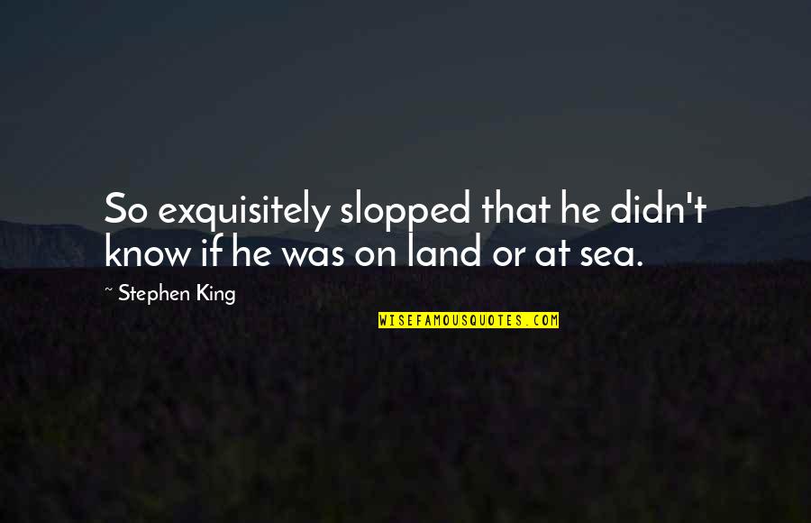 Trekking Trip Quotes By Stephen King: So exquisitely slopped that he didn't know if