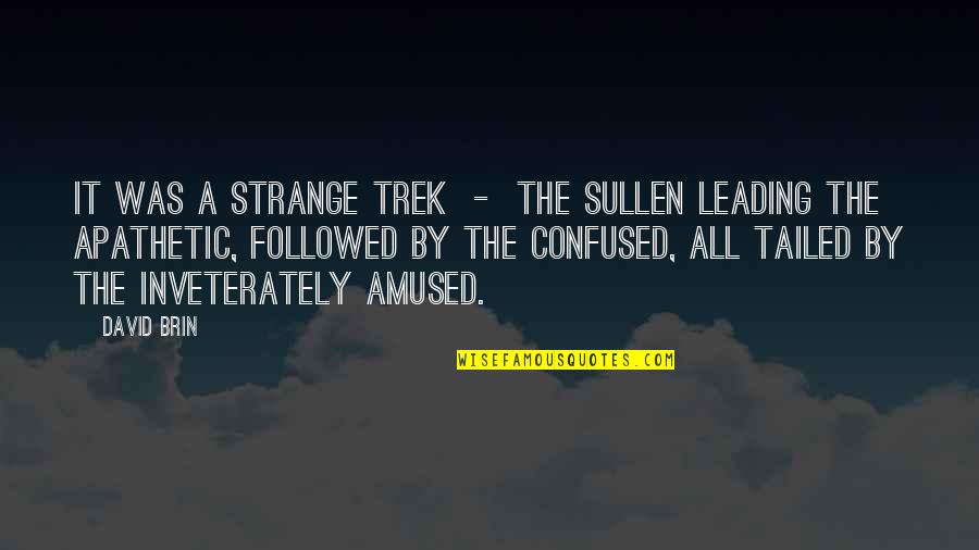 Trek's Quotes By David Brin: It was a strange trek - the sullen