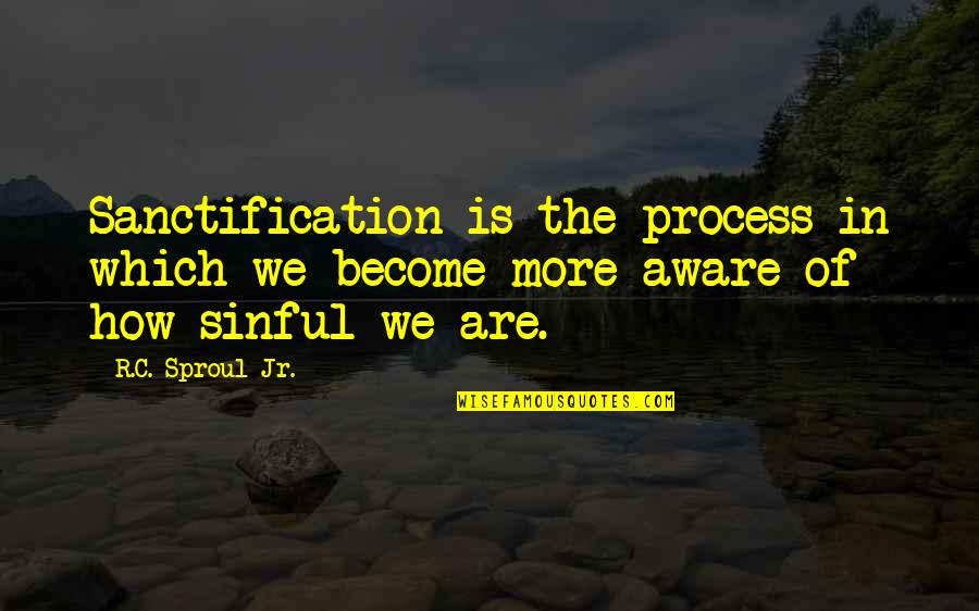 Trelawney Harry Quotes By R.C. Sproul Jr.: Sanctification is the process in which we become