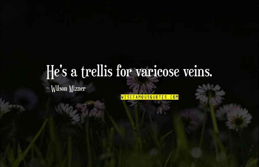 Trellis Quotes By Wilson Mizner: He's a trellis for varicose veins.