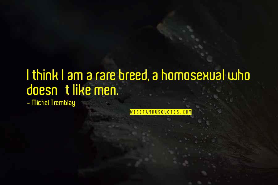 Tremblay Quotes By Michel Tremblay: I think I am a rare breed, a Tremblay Quotes By Michel Tremblay: I think I am a rare breed, a