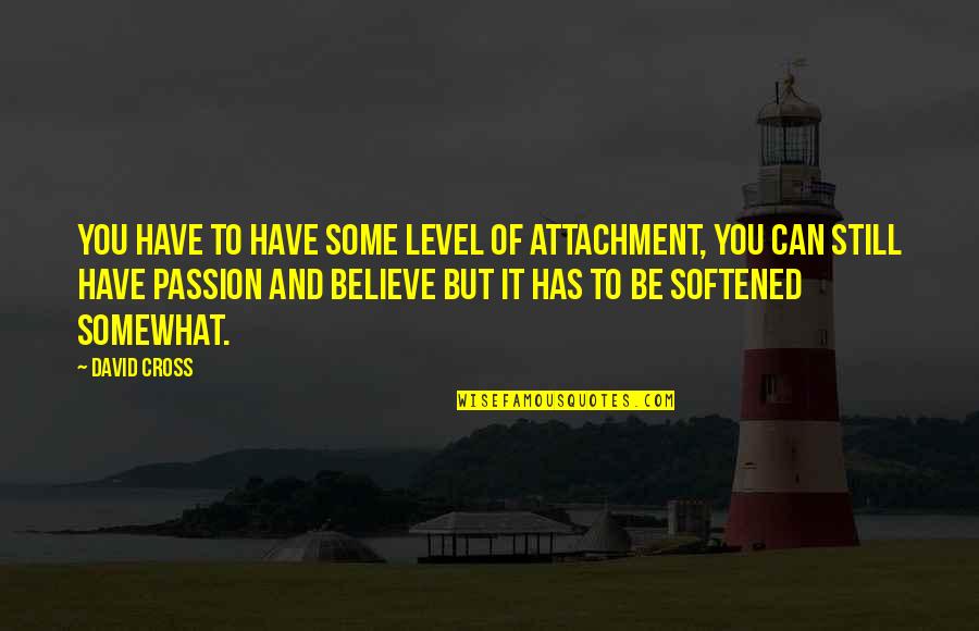 Tremendous Achievement Quotes By David Cross: You have to have some level of attachment, Tremendous Achievement Quotes By David Cross: You have to have some level of attachment,