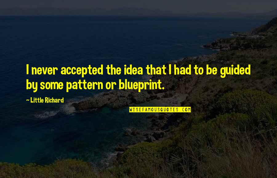 Tremidous Quotes By Little Richard: I never accepted the idea that I had