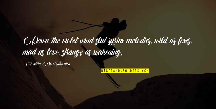 Trennung Mit Quotes By Cecilia Dart-Thornton: Down the violet wind slid syrinx melodies, wild Trennung Mit Quotes By Cecilia Dart-Thornton: Down the violet wind slid syrinx melodies, wild