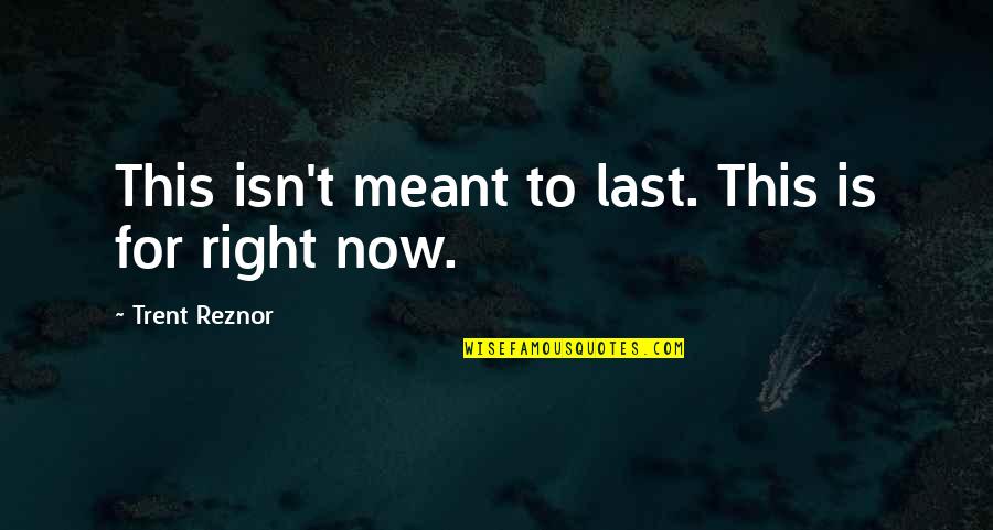 Trent Reznor Quotes By Trent Reznor: This isn't meant to last. This is for