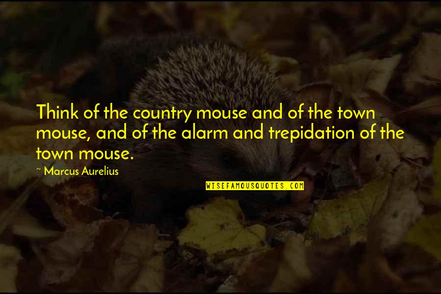 Trepidation Quotes By Marcus Aurelius: Think of the country mouse and of the