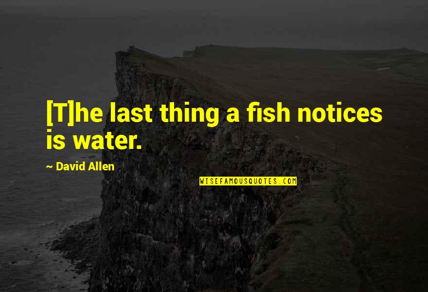 Trepte Granit Quotes By David Allen: [T]he last thing a fish notices is water.