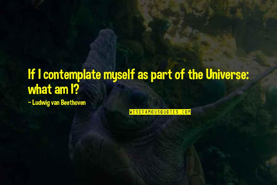 Treptele Si Quotes By Ludwig Van Beethoven: If I contemplate myself as part of the