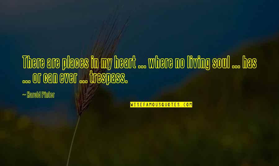 Trespass Quotes By Harold Pinter: There are places in my heart ... where