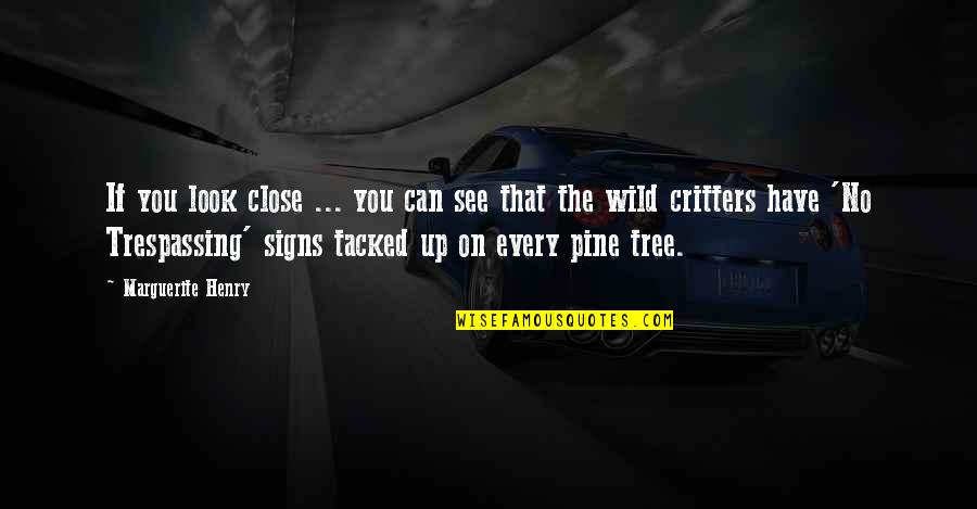 Trespassing Quotes By Marguerite Henry: If you look close ... you can see