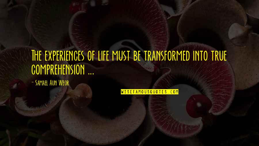 Trevisani Darius Quotes By Samael Aun Weor: The experiences of life must be transformed into Trevisani Darius Quotes By Samael Aun Weor: The experiences of life must be transformed into