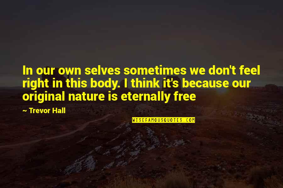 Trevor's Quotes By Trevor Hall: In our own selves sometimes we don't feel