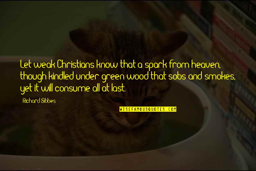 Trevyn Smith Quotes By Richard Sibbes: Let weak Christians know that a spark from