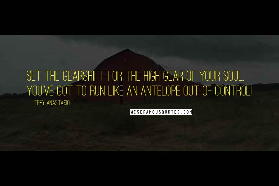 Trey Anastasio quotes: Set the gearshift for the high gear of your soul, you've got to run like an antelope out of control!