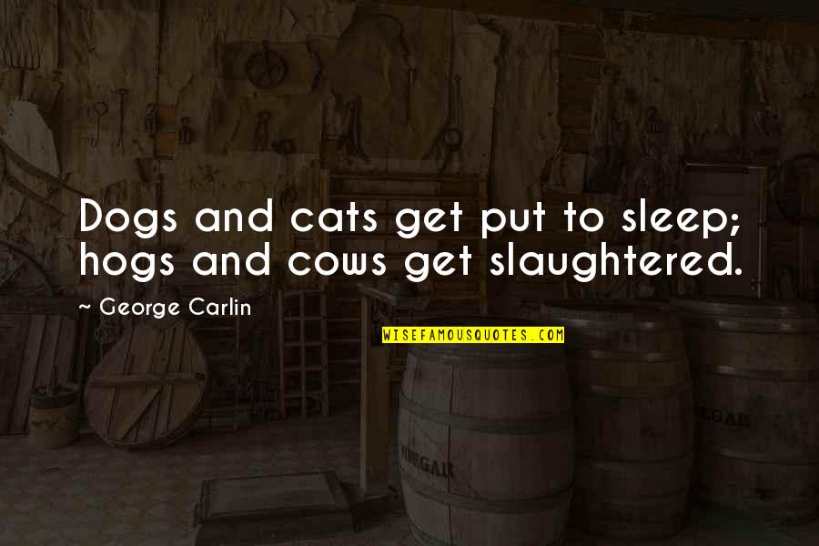 Treyline Quotes By George Carlin: Dogs and cats get put to sleep; hogs Treyline Quotes By George Carlin: Dogs and cats get put to sleep; hogs