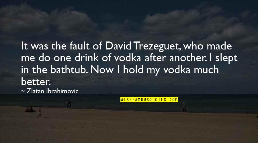 Trezeguet Quotes By Zlatan Ibrahimovic: It was the fault of David Trezeguet, who Trezeguet Quotes By Zlatan Ibrahimovic: It was the fault of David Trezeguet, who