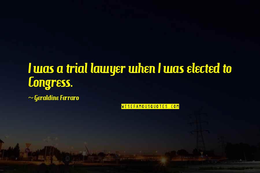 Trial Lawyer Quotes By Geraldine Ferraro: I was a trial lawyer when I was