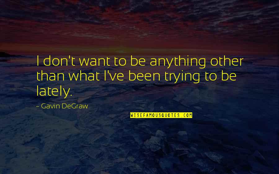 Tribal Leader Quotes By Gavin DeGraw: I don't want to be anything other than