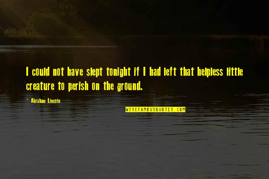 Tribally Quotes By Abraham Lincoln: I could not have slept tonight if I