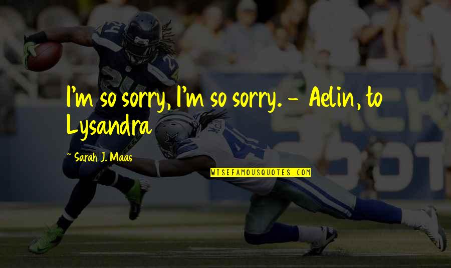 Tribu Ilonggo Quotes By Sarah J. Maas: I'm so sorry, I'm so sorry. - Aelin,